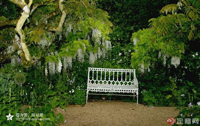 座椅,绿植,植物墙紫藤