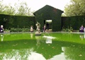 雕塑喷泉,景观水池,植物墙,垂直绿化
