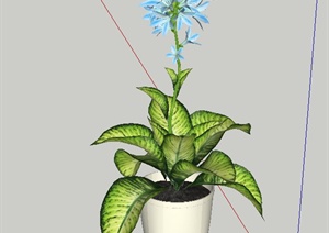室内装饰盆栽花卉植物设计SU(草图大师)模型