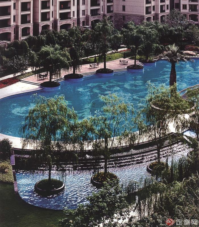 泳池,树池,绿植,住宅景观
