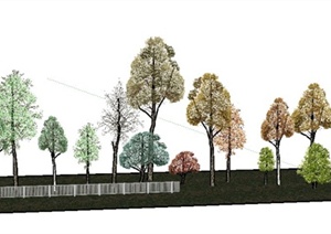 一组景观树乔木SU(草图大师)模型