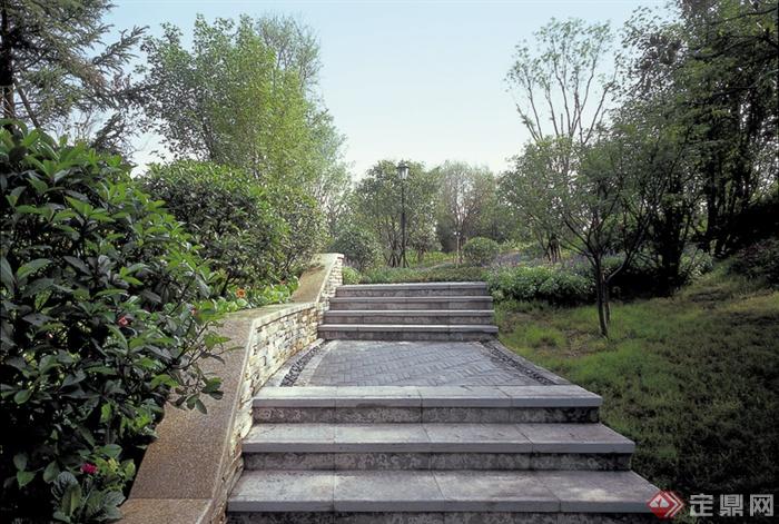 台阶,矮墙,绿植