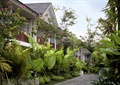 绿植,地面铺装,住宅景观