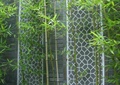 竹林,景墙,石柱