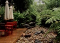 木平台,木桌椅组合,碎石,蕨类植物