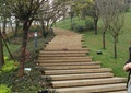 台阶,踏步,花池,草坪景观