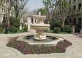 喷泉水池景观,花卉植物,地面铺装