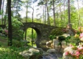 石拱桥景观,铁艺栏杆,河流景观,景石,观干大乔木,花卉植物