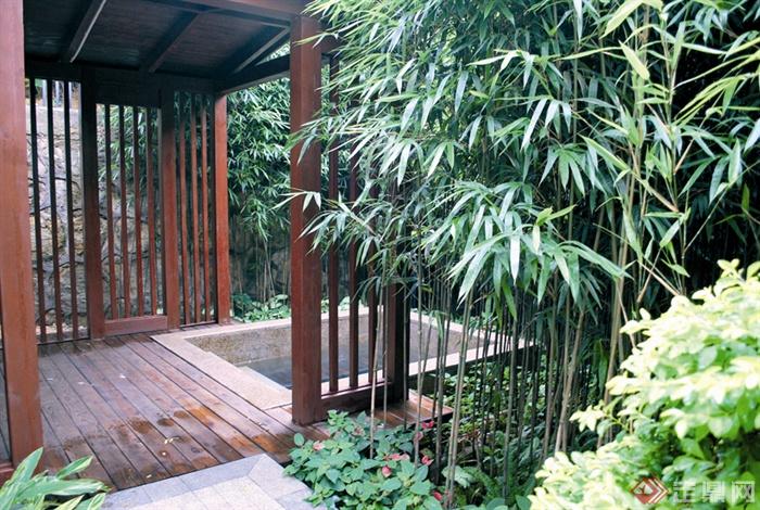 庭院景观,木廊架,木地板,景观水池,竹子竹子
