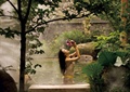 温泉池,台阶,常绿乔木,景石