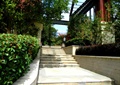 台阶,矮墙,种植池,灌木丛,住宅景观