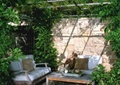 庭院景观,廊架,石砌围墙,沙发茶几,观赏草,藤蔓植物,花卉植物
