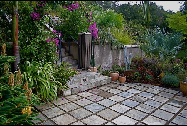 台阶,石材铺装,盆栽,绿植,庭院景观蒲葵
