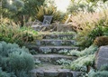 台阶,地被植物,绿植