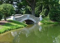 滨水景观,园桥,常绿乔木,拱桥