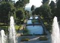 景观水池,喷泉景观,乔木